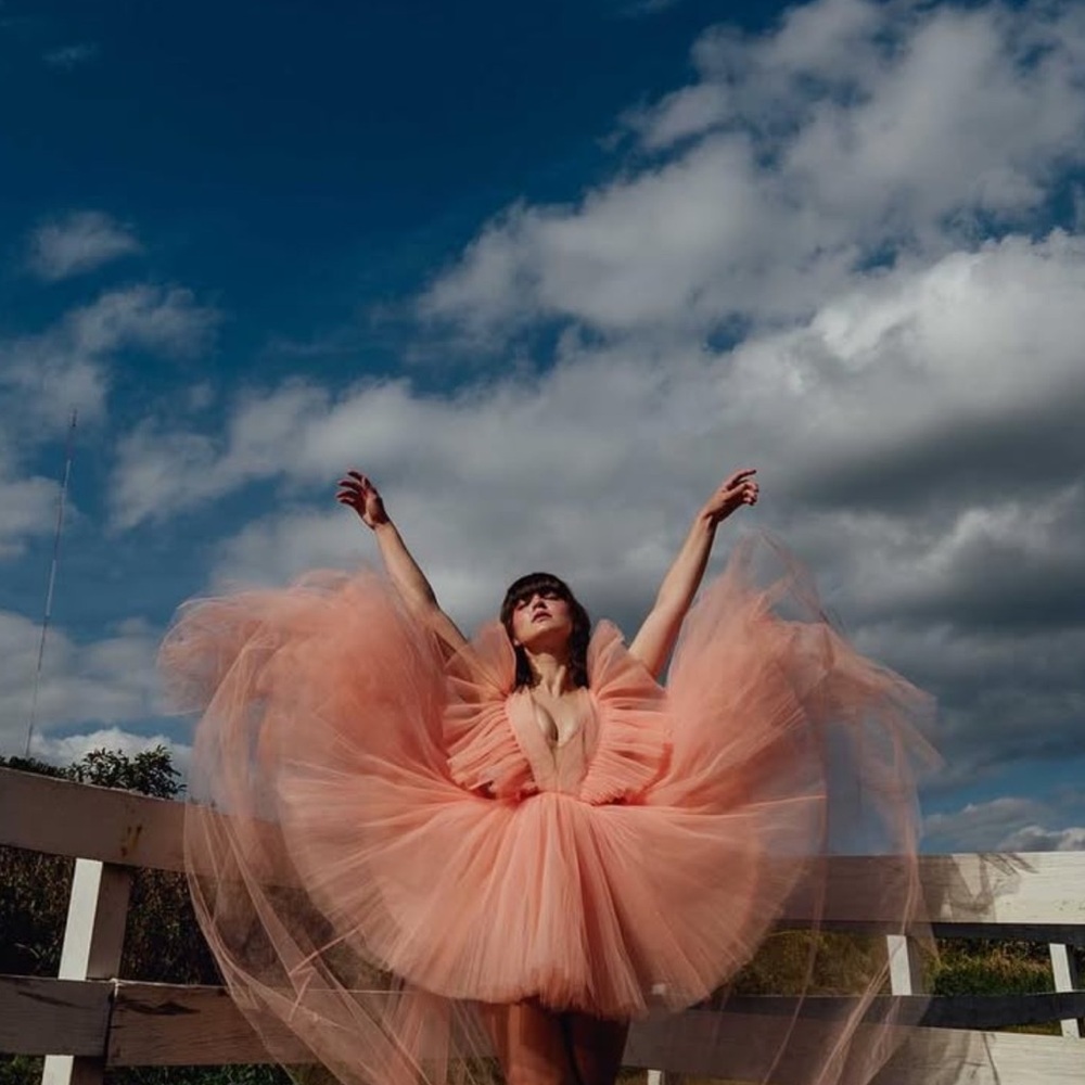 GIAMBATTISTA VALLI X H&M PEACH TULLE GOWN SIZE 34 - Picture 2 of 9